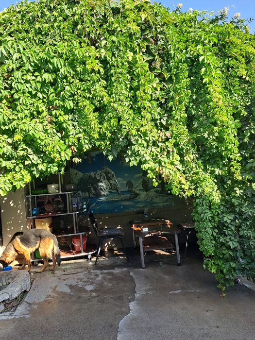 Продаётся свой дом