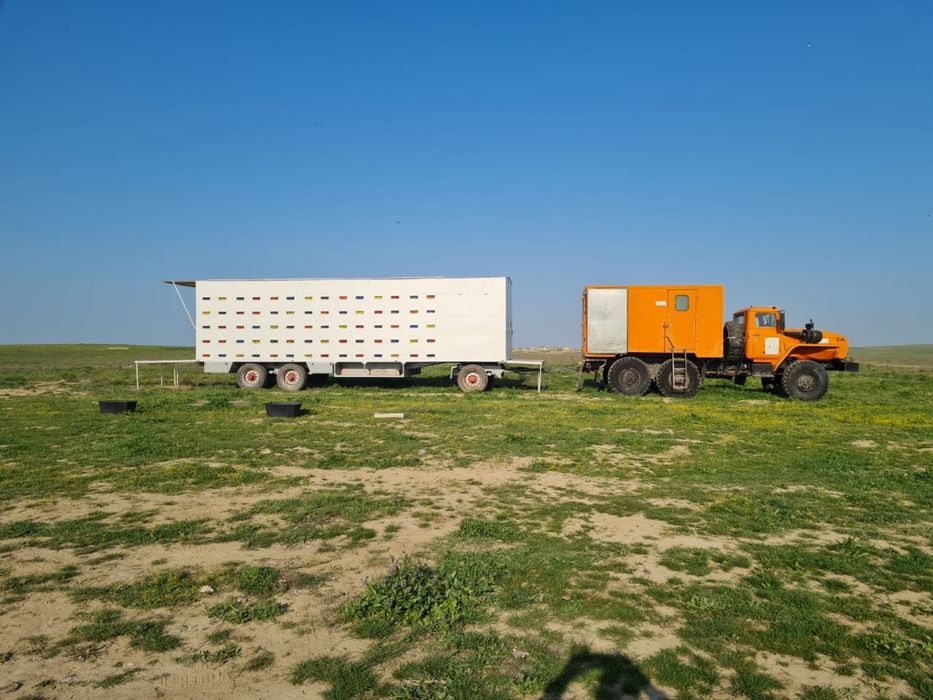 Пасека ( пчелопавильон )