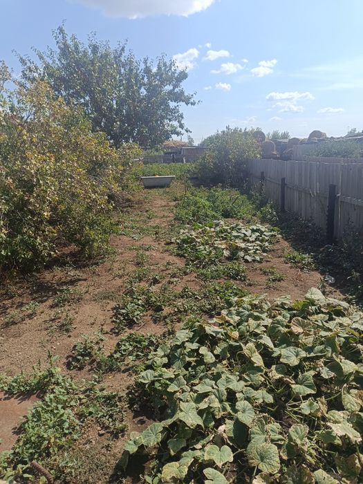 Продам дом в селе