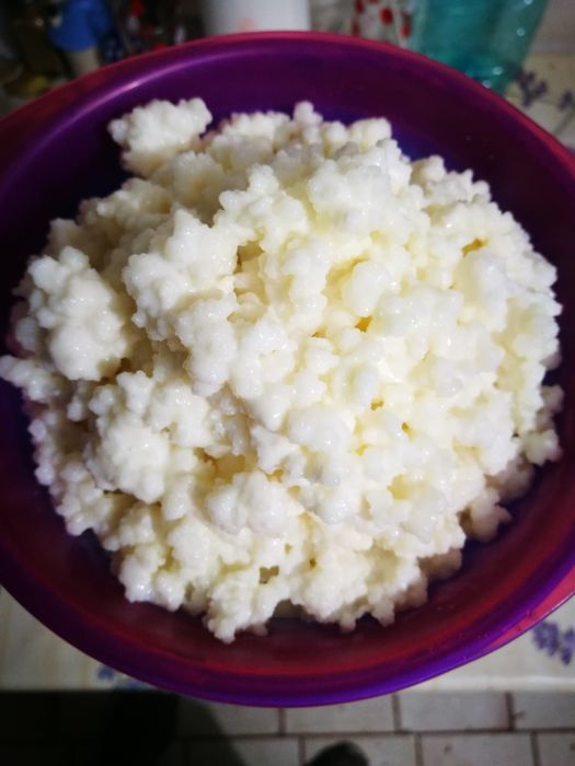 Vând ciuperca tibetana pentru kdfir