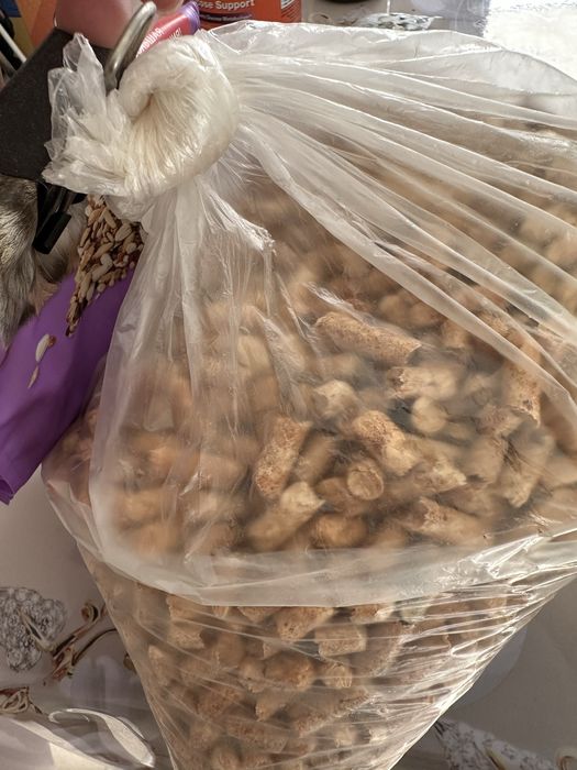 Клетка хомячка, шар хомячка