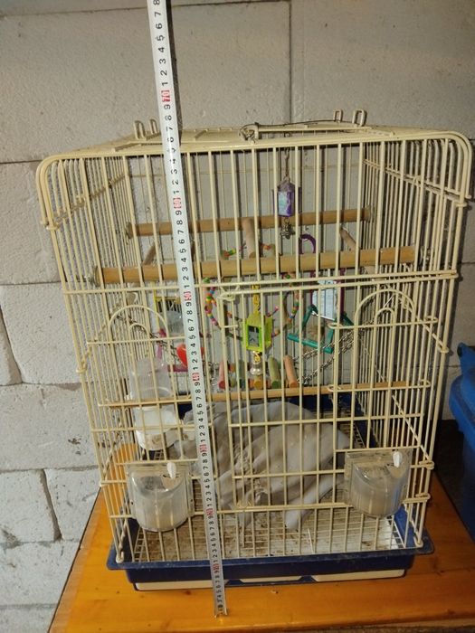 Colivie pentru perusi ,agapornis,micul alexandru