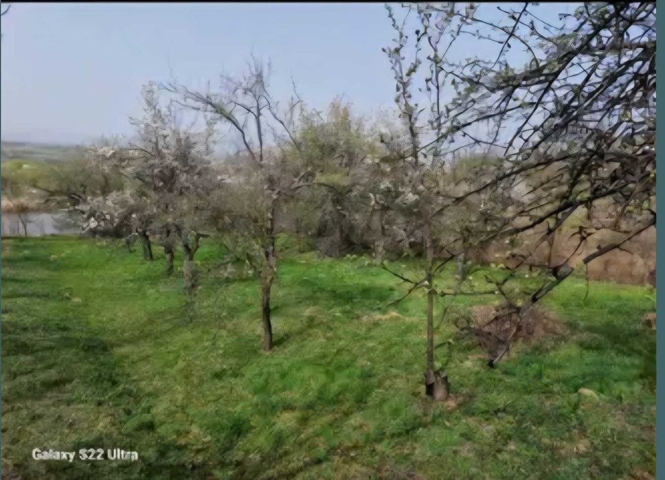 Продава се Парцел в Кюстендил, Румена войвода - 600 кв.м за 31 €/кв.м - Снимка #8