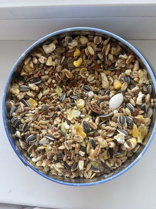 Продам Хомяка с клеткой, с кормом и наполнителем