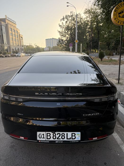 Byd chazor 55 tali