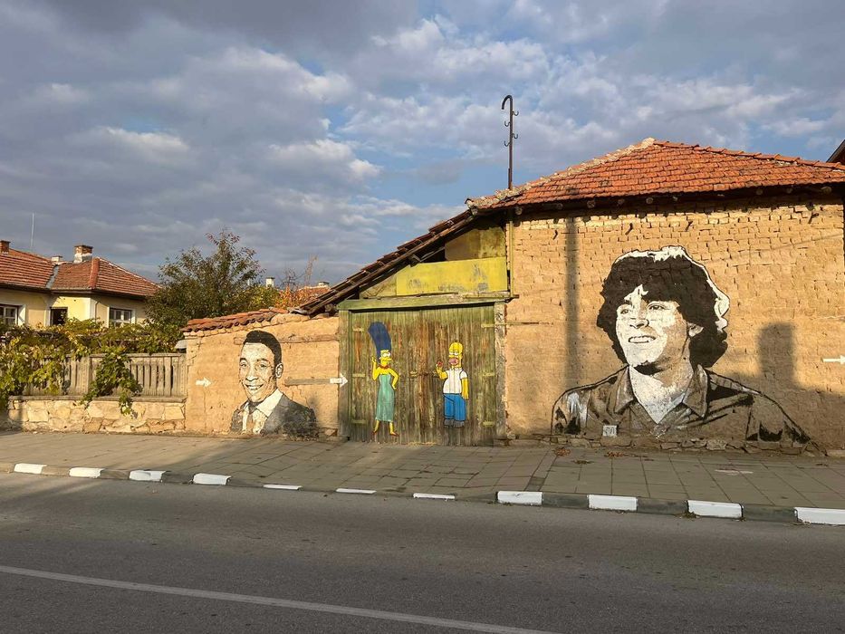 Продава се: Къща РЗП 140 кв.м, двор 675 кв.м, с.Старо Железаре