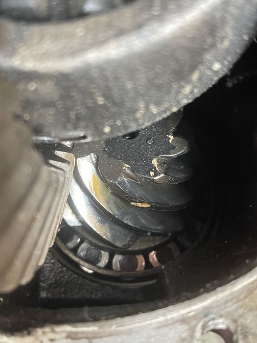 Damas reduktor orginali zavot