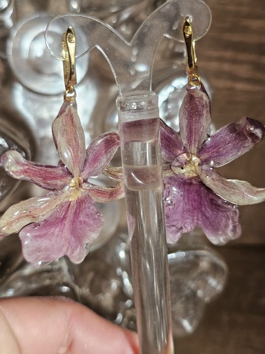 Обеци с естествен цвят на мини орхидея Miltonia.