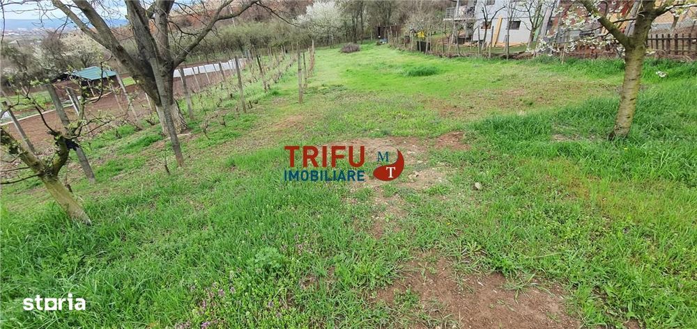 Teren de vanzare zona Micesti 1436mp