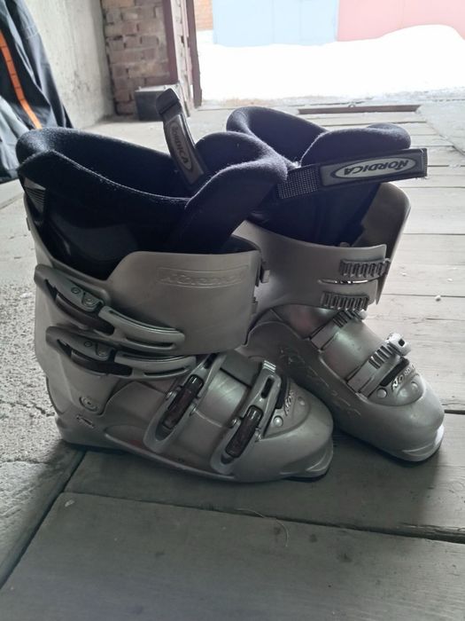 Горнолыжные ботинки