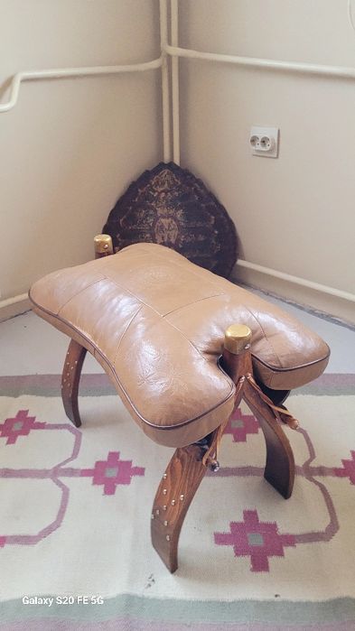 Голяма декоративна автентична коруба черупка от костенурка