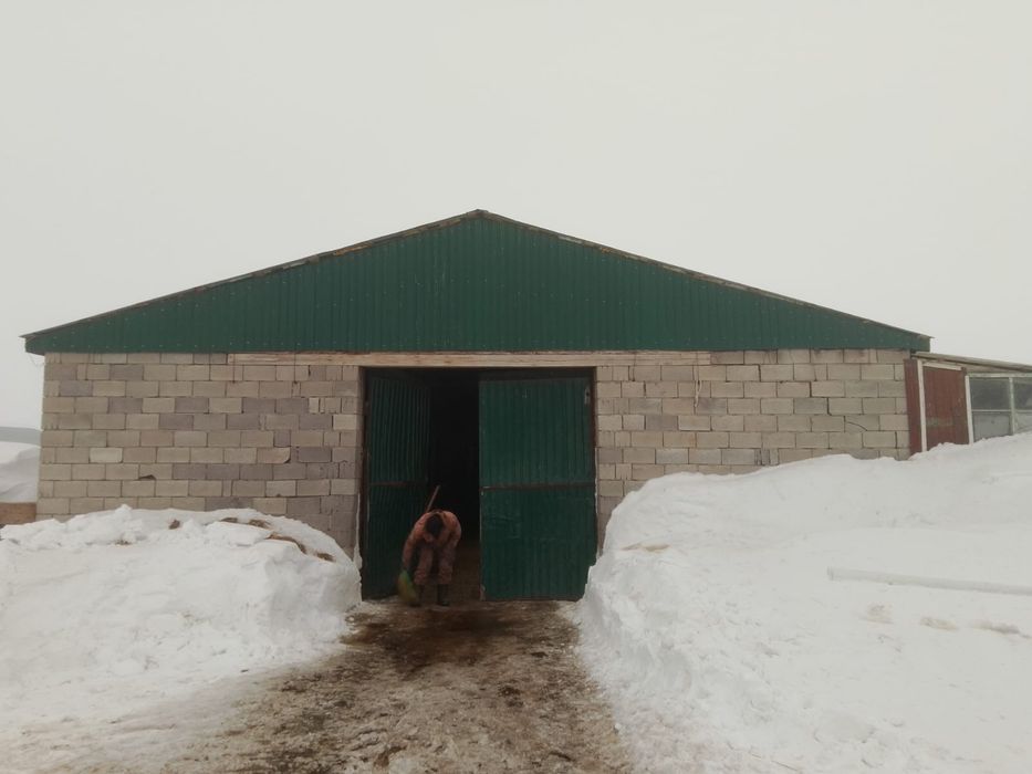 Продам крестьянское хозяйство