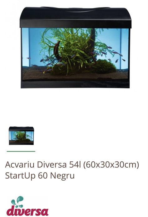 Acvariu pesti Diversa 54 litri