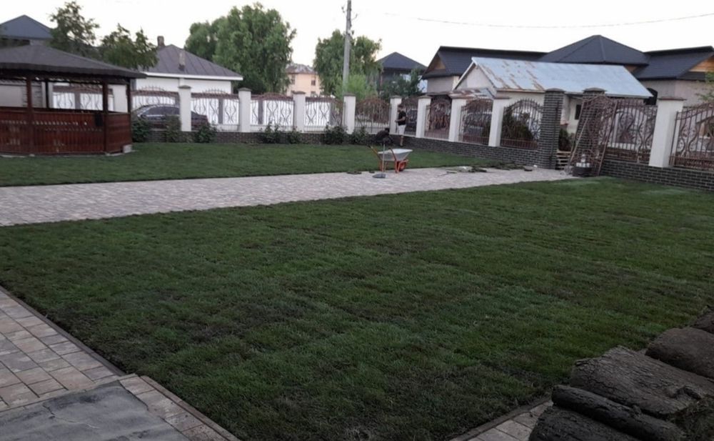 Rulouri de gazon 24 de lei m2 transport și montaj inclus în preț