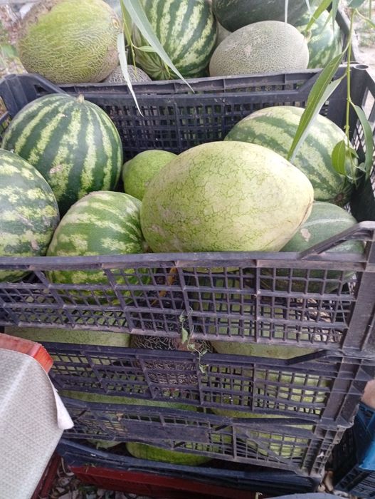 Conservate fără conservanți chimici