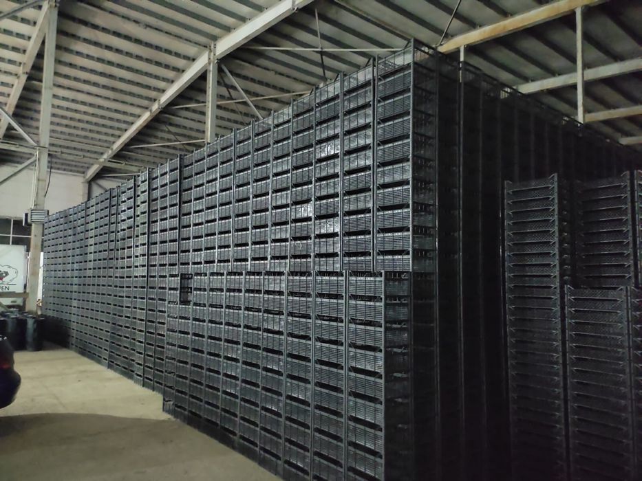 Пластиковые  ящики