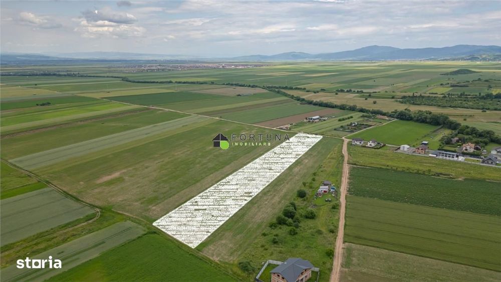 Loturi de grădină 400 mp - Săcele