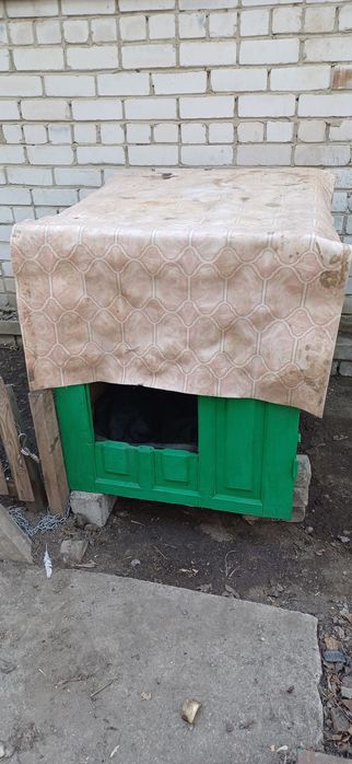 Продам бутки для собак