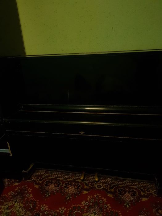 Беларус ФортеПианино