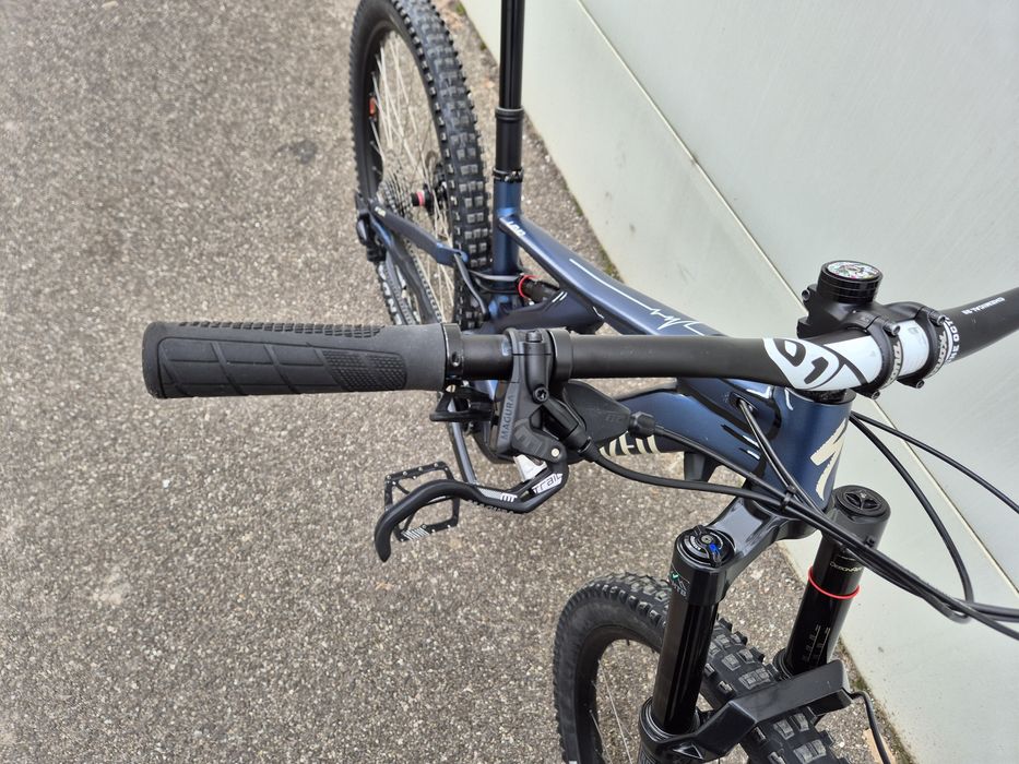 Specialized Turbo Levo 29 2020 Custom