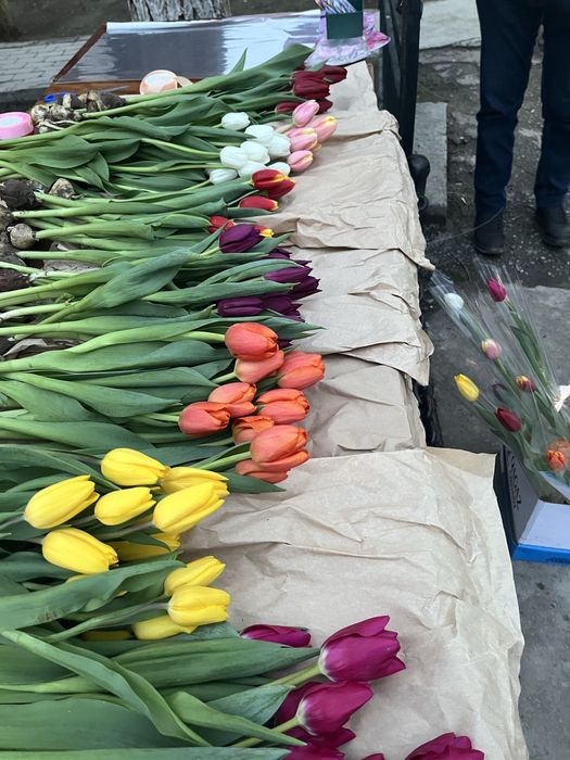 Тюльпаны свежие с луком