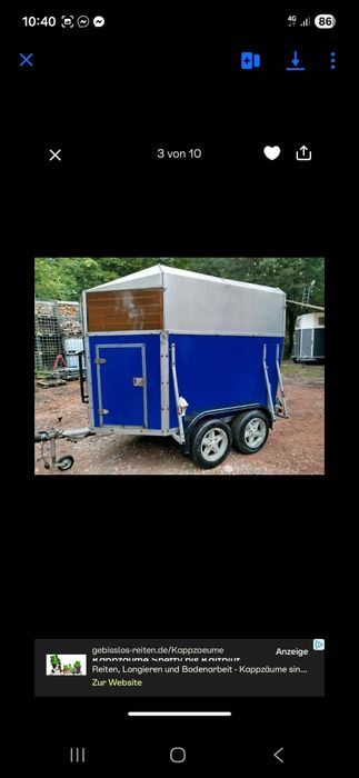 Vand reomorca Animal 2