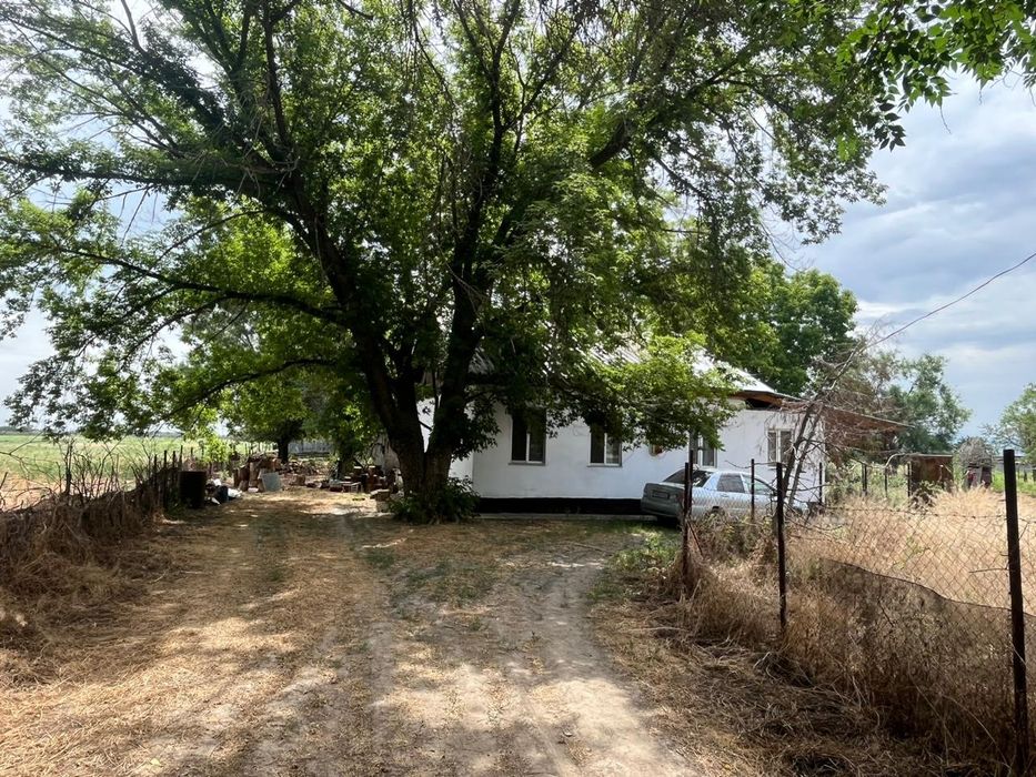 продам   дом  фазенда.