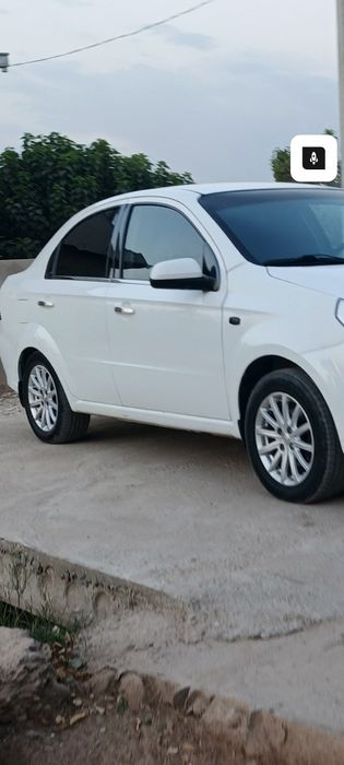 Cobalt diska bor r15