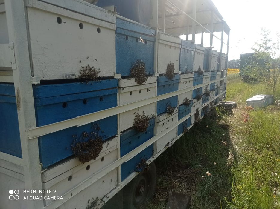 Пчелоприцеп прицеп
