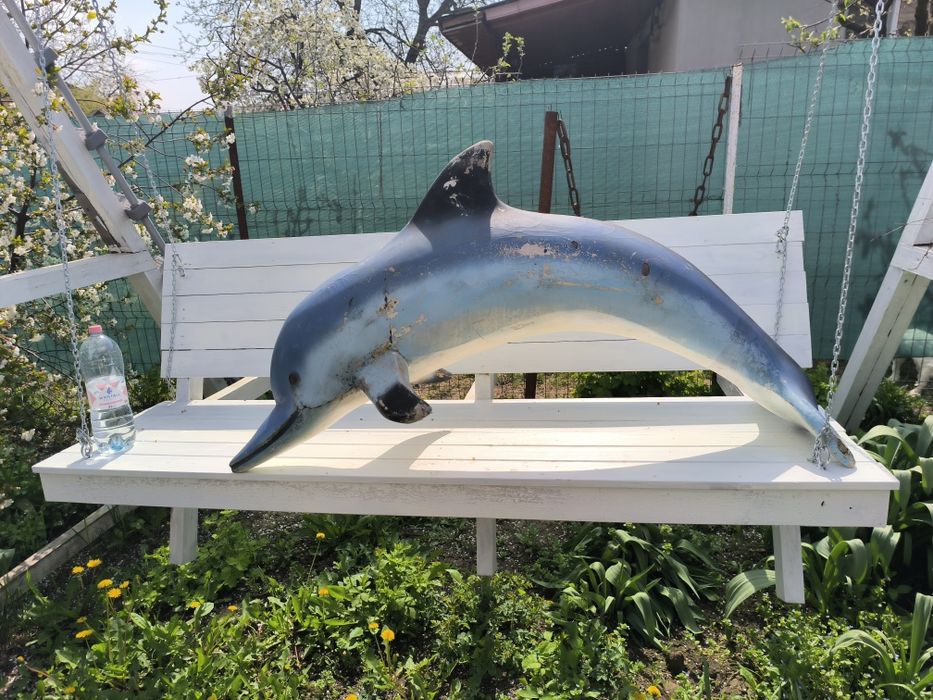 Delfin butaforie design