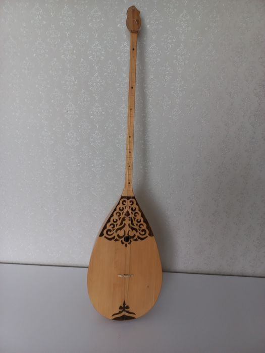 Домбыра екі шекті