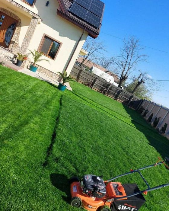 Amenajare grădini, toaletare pomi, scarificare-insamantare gazon!