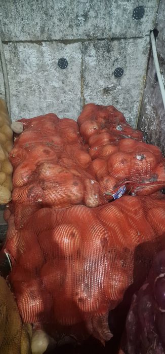 продам овощи картошка тыква капуста красный лук Все вопросы по телефон