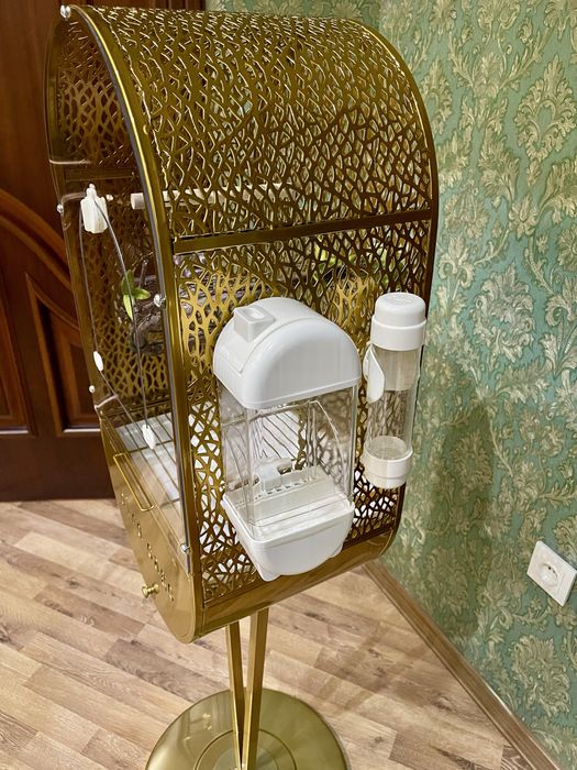 Qafas gold клетка