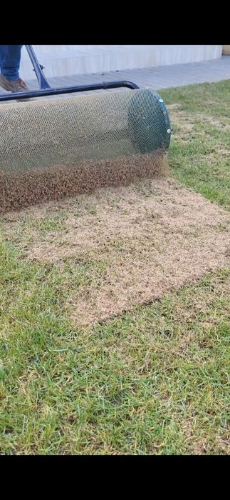 Întreținere gazon ( tuns , scarificare , îngrășământ )