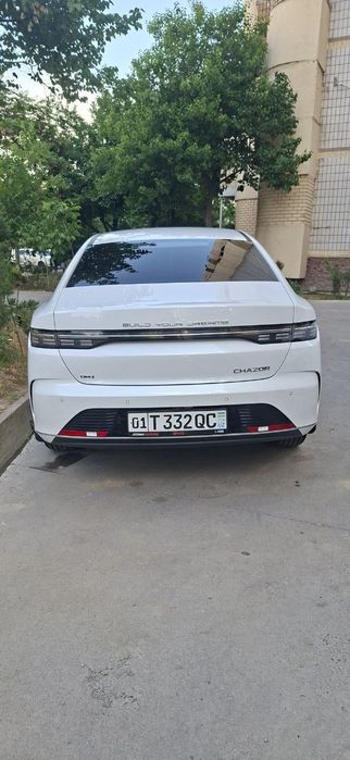 Byd chazor 120 full