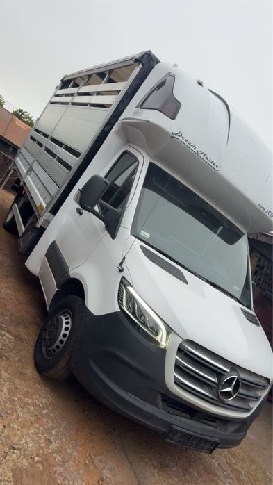 Transport animale vii!