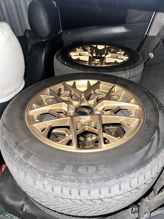 Bronza rangli saka R15