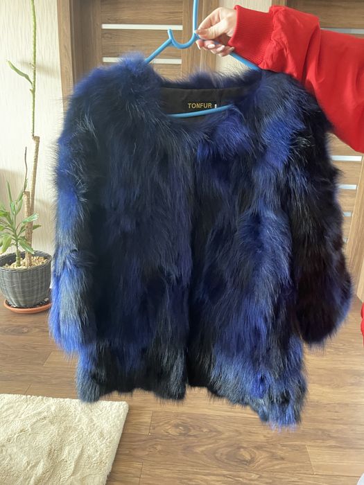 Haine de blana vulpe