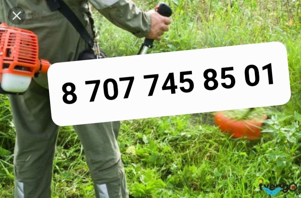 косим шөп шабамыз