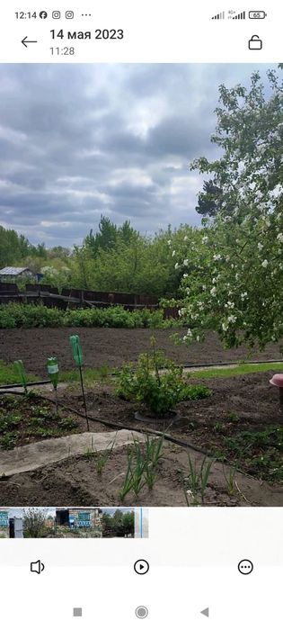 продам дачу  9 соток