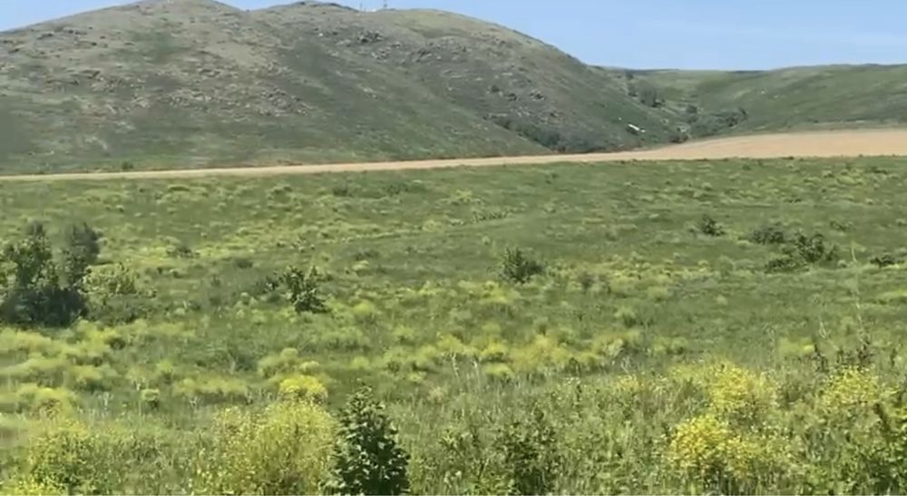 Продам земельный участок