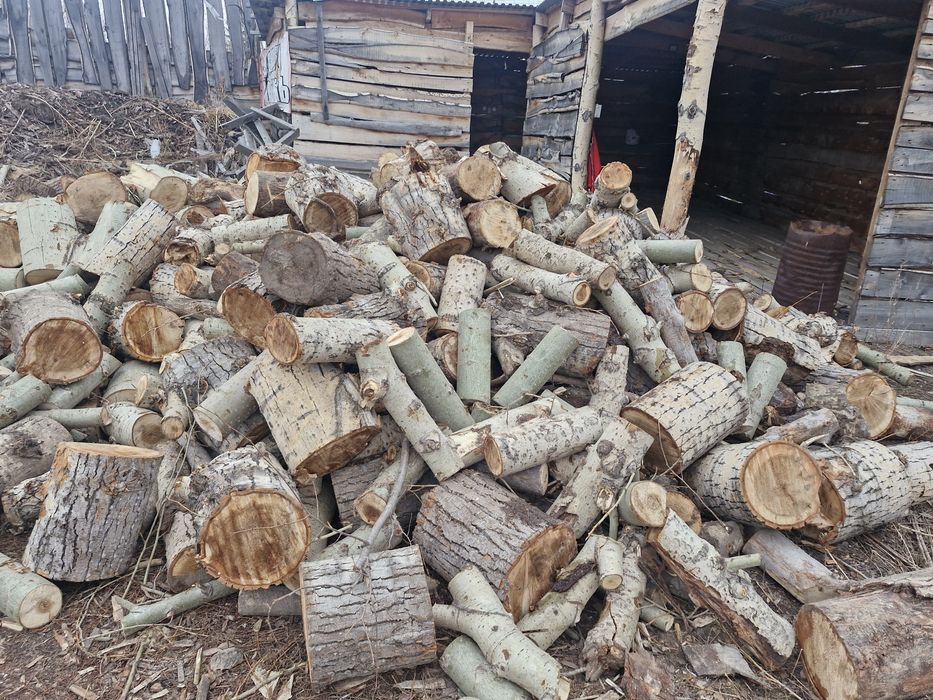 Дрова чурками 16000тг -1 куб