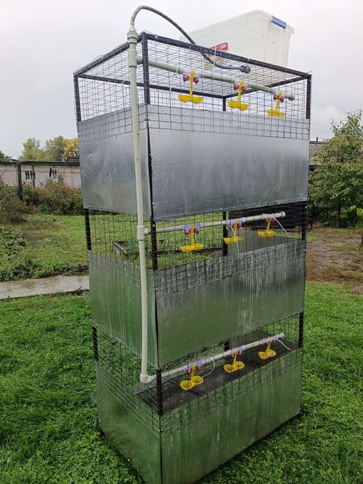 Клетки для курей несушкк