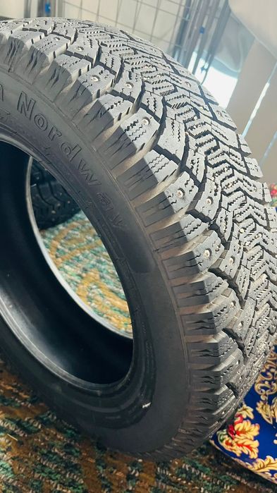 Балон зимний . Шиповный