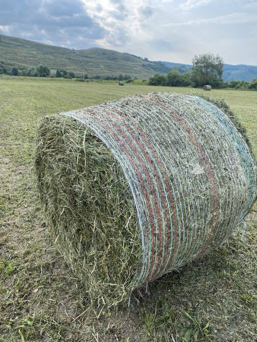 Vând baloți lucernă
