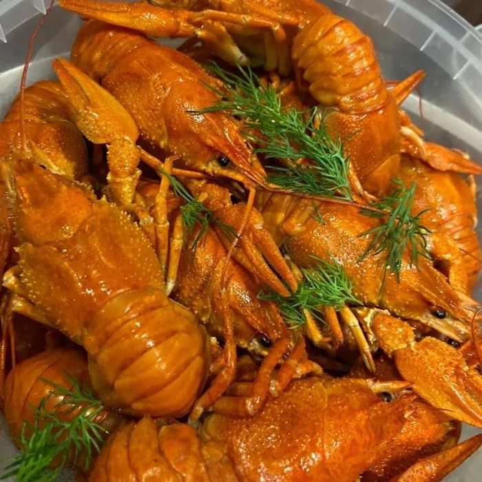 Свежие, сочные раки г.Алматы