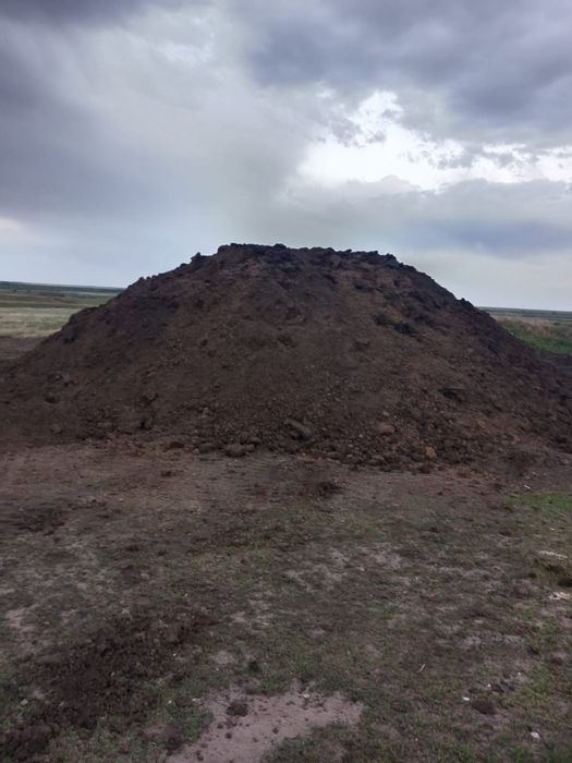 Перегной         .