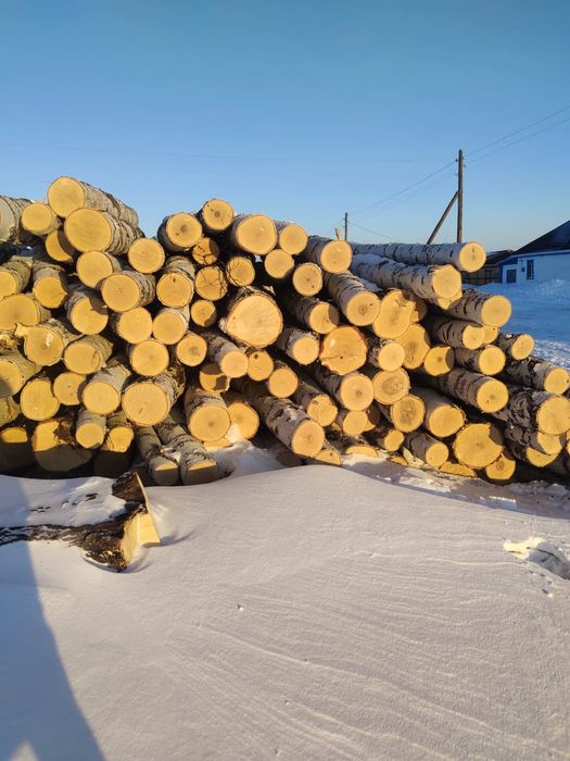 Деловой лес. Береза доска необрезная