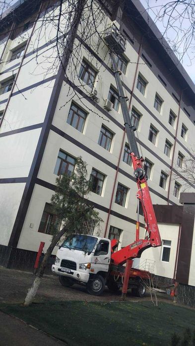 Сифатли ва баландликка чиқувчи автовишка | Ишончли хизмат кўрсатамиз